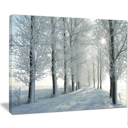 ” Winter Trees Backlit By Morning Sun “ - Chic Decora