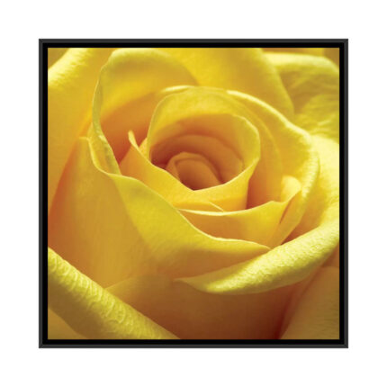 ” Yellow Rose ” by PhotoINC Studio - Chic Decora