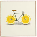 " Zest I " - Image 3