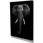 African Elephant portrait in black and white, Elephant wall art photograpy - Image 4