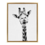 Giraffe Portrait' - Framed Drawing Print on Wrapped Canvas - Image 6