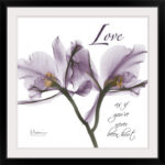 Orchid Love X-Ray by Albert Koetsier Photographic Print