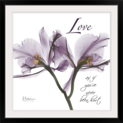 Orchid Love X-Ray by Albert Koetsier Photographic Print - Chic Decora