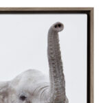 Safari Animals' by Amy Peterson - Floater Frame Graphic Art Print on Canvas - Image 3