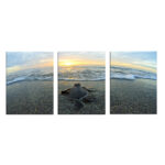 3 - Pieces - Image 6