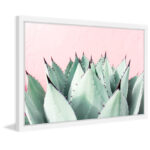 Abdirazaq " Sweet Succulents " by Morgan Hartley - Image 6