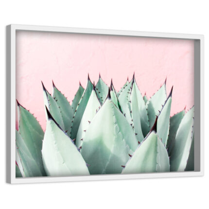 Abdirazaq ” Sweet Succulents ” by Morgan Hartley - Chic Decora