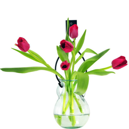 Almaguer Glass Wall Vase - Chic Decora