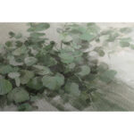 Antwann 'Scented Eucalyptus Neutral' by Danhui Nai, Floral Bouquet in Vase Canvas Wall Art - Image 7