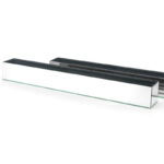 Axella Glass Table Vase