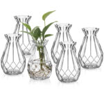 Bajrush Glass Table Vase (Set of 6) - Image 5