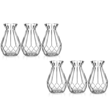 Bajrush Glass Table Vase (Set of 6) - Chic Decora