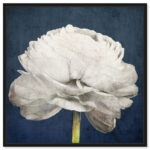 Barroso " Floral And Botanical Pretty View, Modern & Contemporary White " by Oliver Gal - Image 5