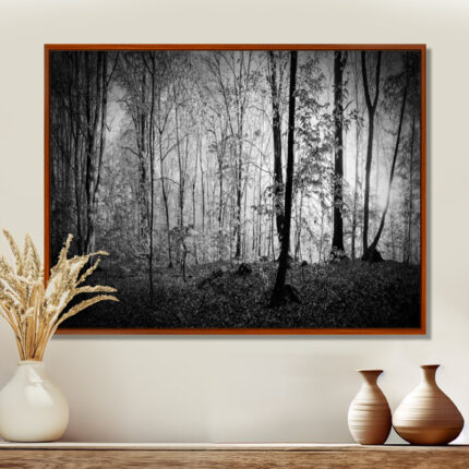 Beautiful Forest Morning Panorama – Print - Chic Decora
