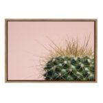 Bellville " Sylvie Cactus " by Emiko And Mark Franzen Of F2Images - Image 6