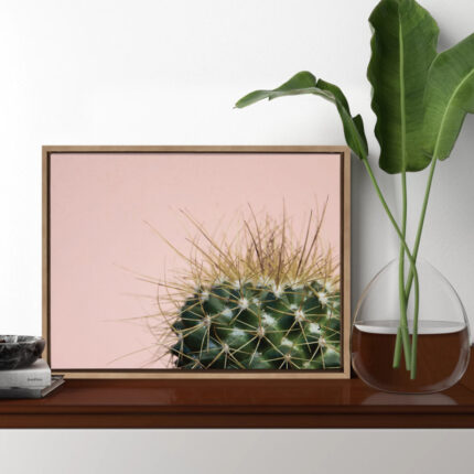 Bellville ” Sylvie Cactus ” by Emiko And Mark Franzen Of F2Images - Chic Decora