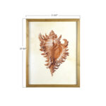 Bibbi Wood Framed Wall Art with Shells & Coral (Set of 4 Designs) - Image 4