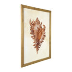 Bibbi Wood Framed Wall Art with Shells & Coral (Set of 4 Designs) - Image 8