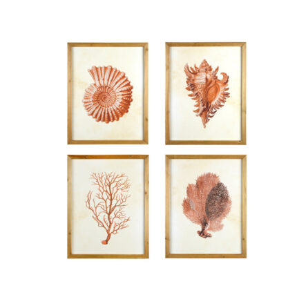 Bibbi Wood Framed Wall Art with Shells & Coral (Set of 4 Designs)