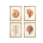 Bibbi Wood Framed Wall Art with Shells & Coral (Set of 4 Designs) - Image 2