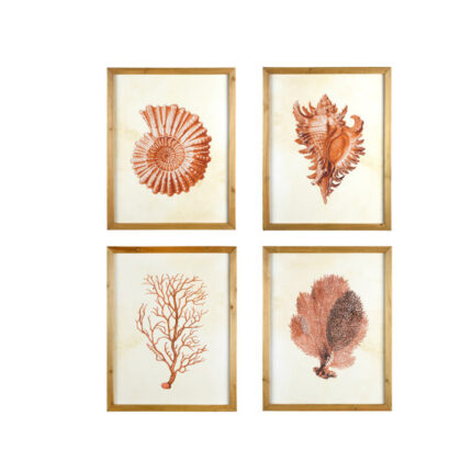 Bibbi Wood Framed Wall Art with Shells & Coral (Set of 4 Designs) - Chic Decora