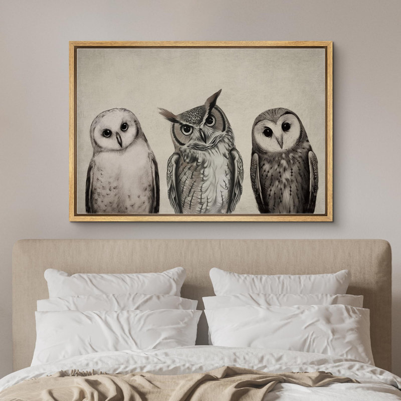 Bird " Variety Of Owl Portraits Vintage Antique Farmhouse Decor Nature Animals Modern Art Cozy Decor " - Image 5