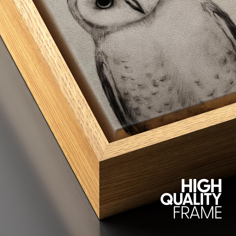 Bird " Variety Of Owl Portraits Vintage Antique Farmhouse Decor Nature Animals Modern Art Cozy Decor " - Image 6