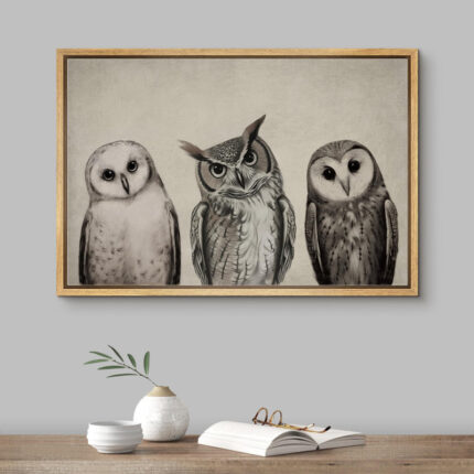 Bird " Variety Of Owl Portraits Vintage Antique Farmhouse Decor Nature Animals Modern Art Cozy Decor "