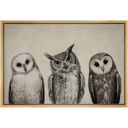 Bird ” Variety Of Owl Portraits Vintage Antique Farmhouse Decor Nature Animals Modern Art Cozy Decor “ - Chic Decora