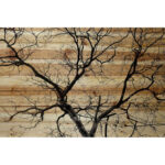 Branching Out III by Parvez Taj Print on Wood - Image 2
