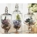 Brentten Glass Apothecary Jar - Image 2