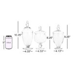 Brentten Glass Apothecary Jar - Image 3