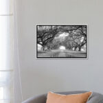 Brick Path Through Alley of Oak Trees, Louisiana, New Orleans, USA Black and White I by Panoramic Images - Graphic Art Print on Canvas