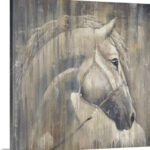 Dacey " His Majesty " by Liz Jardine