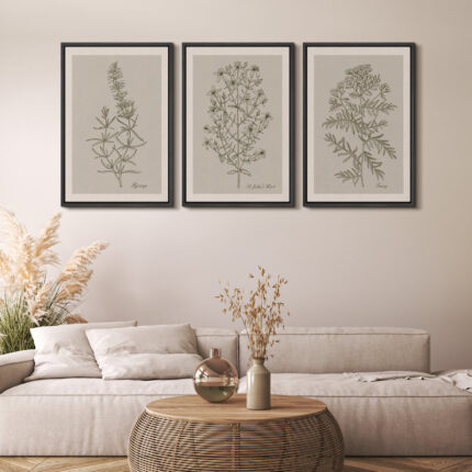 Duotone Vintage Flowers Neutral Floral Botanical Minimalist Framed Canvas 3 Pieces Print Wall Art - Chic Decora