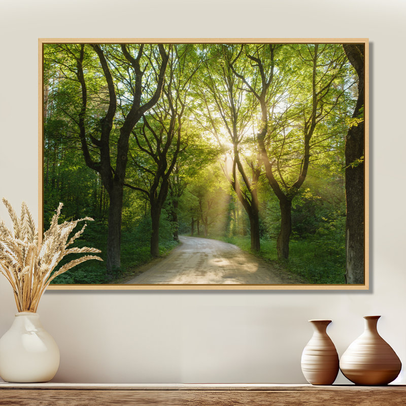 Evening in Green Forest – Landscapes Canvas Wall Art - Chic Decora