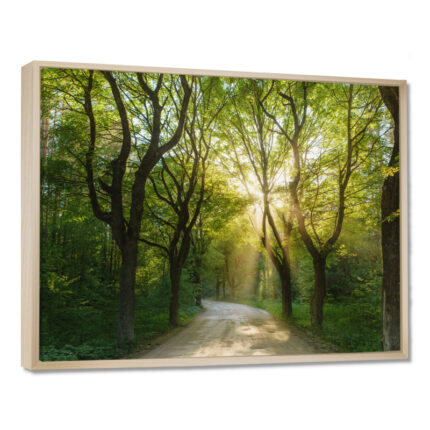 Evening in Green Forest – Landscapes Canvas Wall Art - Chic Decora