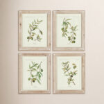 Evy " Olive Leaf Botanical " 4 - Pieces
