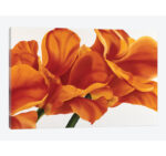 Fancy Flower II by Yvonne Poelstra Holzhaus - Graphic Art Print on Canvas - Image 3