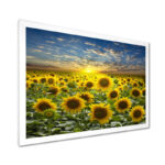 Field of Blooming Sunflowers - Art Print On Solid Wood - Image 5