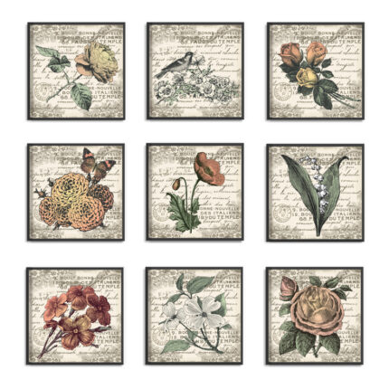 Firebaugh ” French Botanical Illustrations ” by In House Art 9 – Pieces - Chic Decora