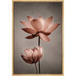 Flower Blossom Lotus Flower Pictures Minimalist Floral Bathroom Decor Large Gallery Wrapped Canvas Print Wall Art - Image 5