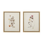 French Herbarium 2-piece Framed Canvas Wall Art Set - Image 2