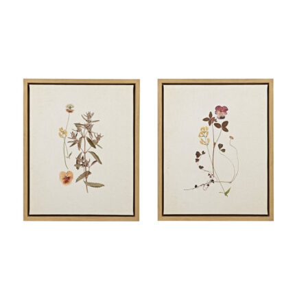 French Herbarium 2-piece Framed Canvas Wall Art Set - Chic Decora