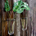 Glass Wall Vase - Image 6