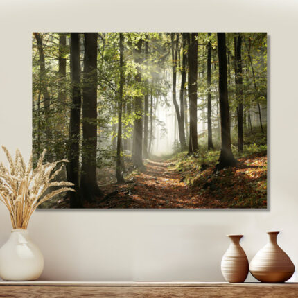 Green Fall Forest with Sun Rays – Forest Photograph Print - Chic Decora