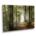 Green Fall Forest with Sun Rays - Forest Photograph Print - Image 2
