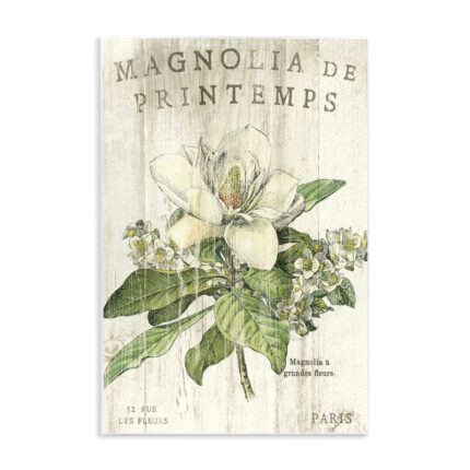 Hammes French Magnolias In Spring by Sue Schlabach – Graphic Art Print - Chic Decora