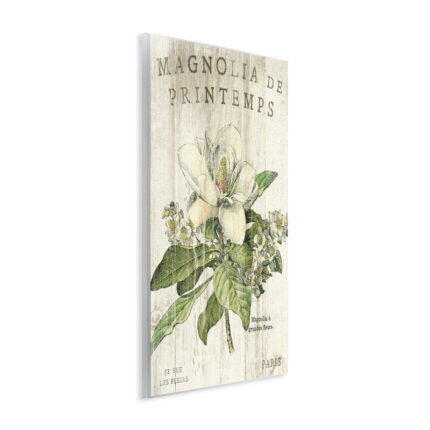 Hammes French Magnolias In Spring by Sue Schlabach – Graphic Art Print - Chic Decora