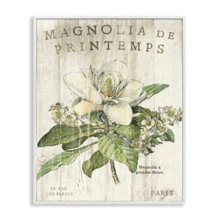 Hammes French Magnolias In Spring by Sue Schlabach – Graphic Art Print - Chic Decora